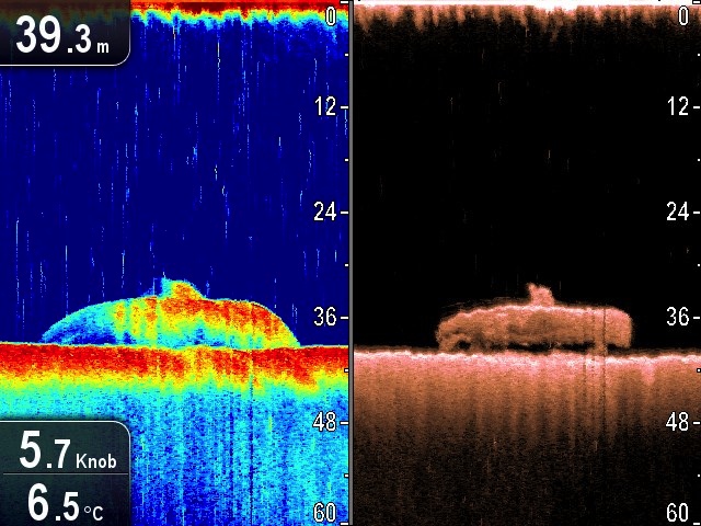 Raymarine CP100 CHRIP DownVision sonder