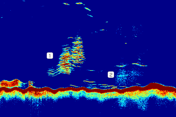 Raymarine CP470 CHIRP sonar