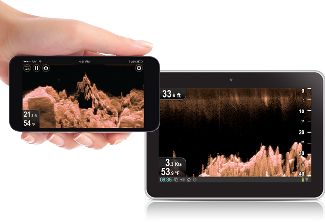 Raymarine Wi-Fish CHIRP DownVision sonar